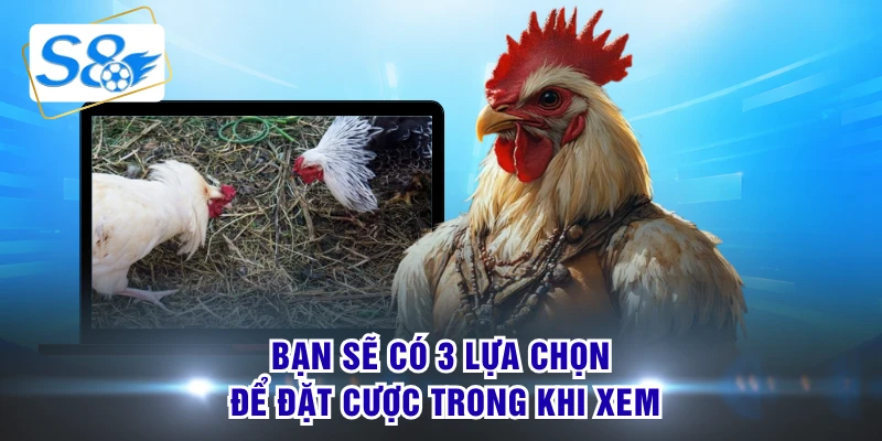 Bạn sẽ có 3 lựa chọn để đặt cược trong khi xem