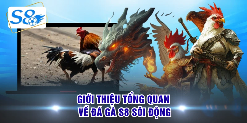 Giới thiệu tổng quan về đá gà S8 sôi động