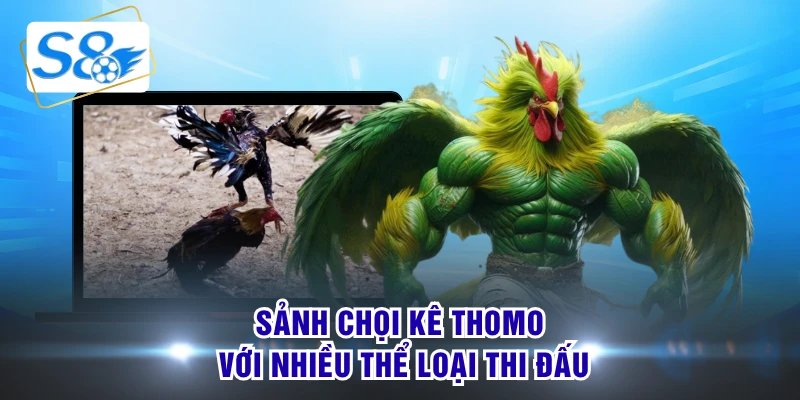 Sảnh chọi kê Thomo với nhiều thể loại thi đấu