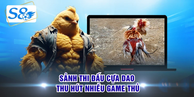 Sảnh thi đấu cựa dao thu hút nhiều game thủ